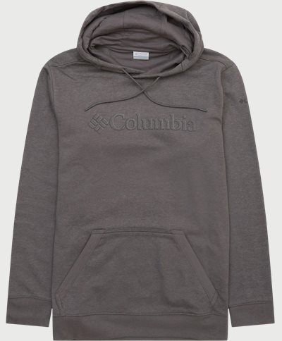 Columbia Sweatshirts CSC BASIC LOGO II HOODIE 1681664 Grå