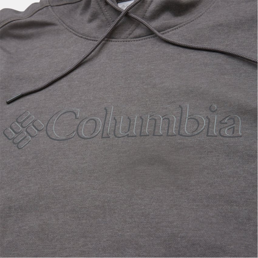 Columbia Sweatshirts CSC BASIC LOGO II HOODIE 1681664 GRÅ
