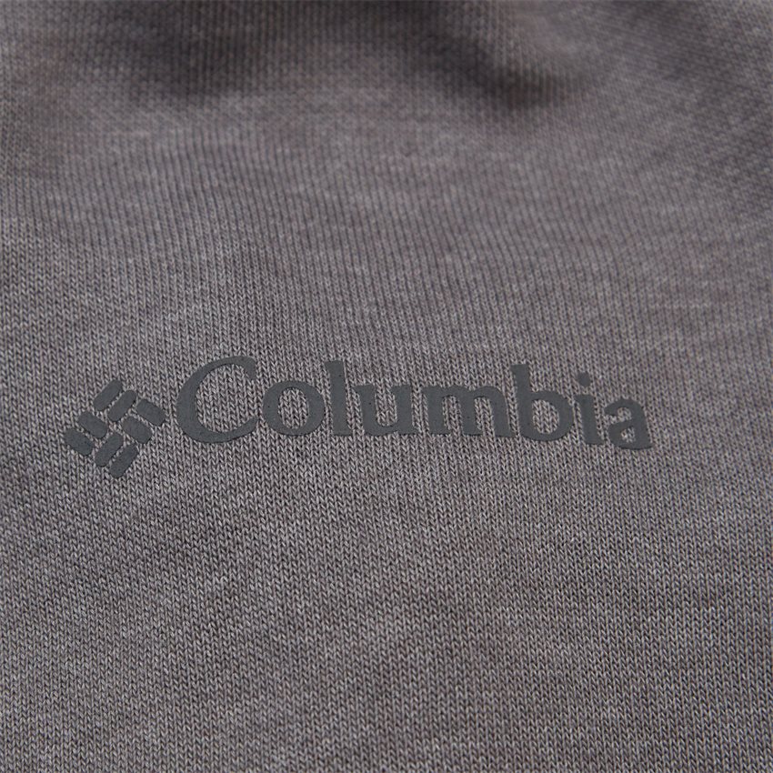 Columbia Sweatshirts CSC BASIC LOGO II HOODIE 1681664 GRÅ