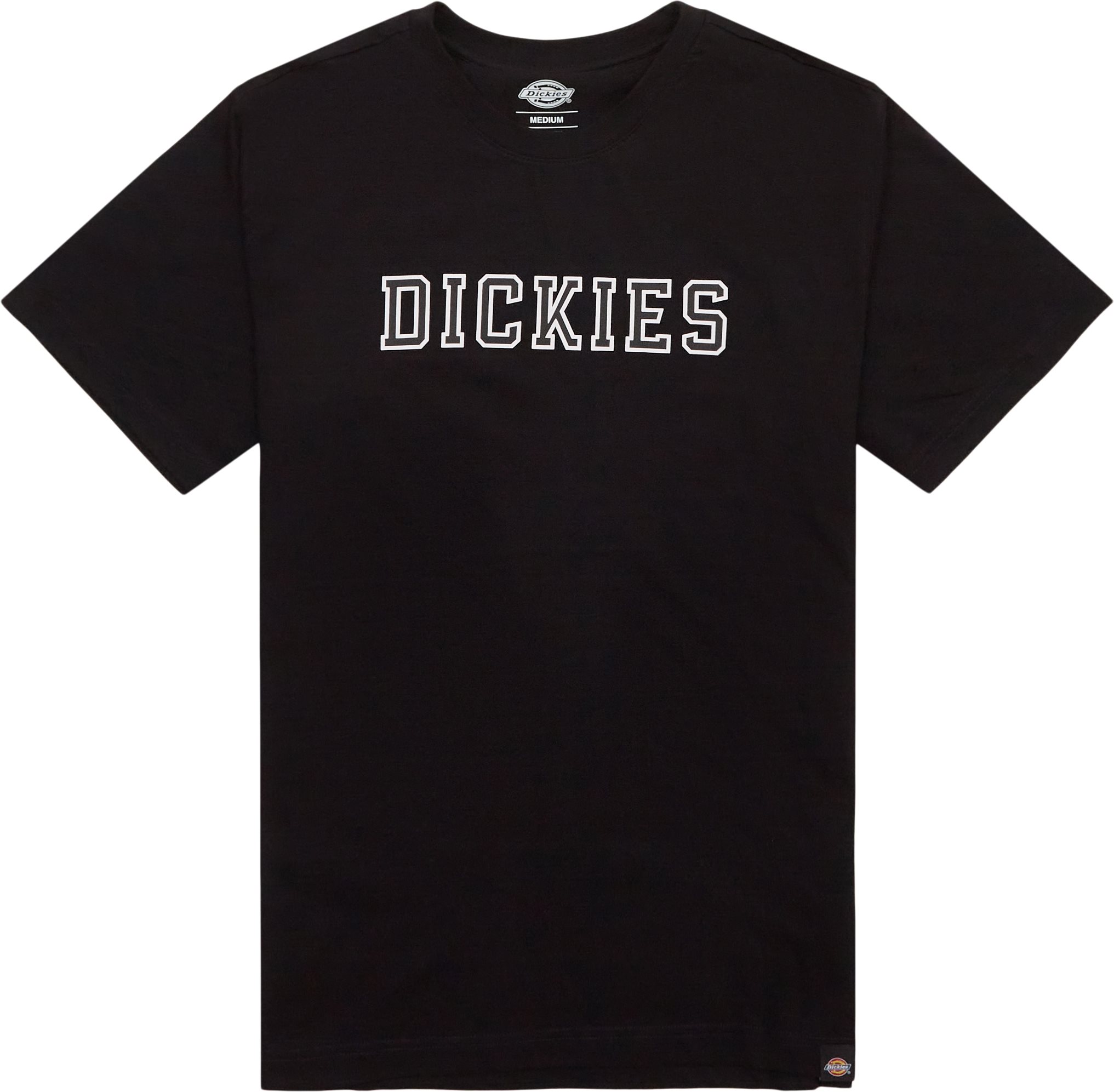 Dickies T-shirts MELVERN TEE DK0A4YK6BLK1 Sort