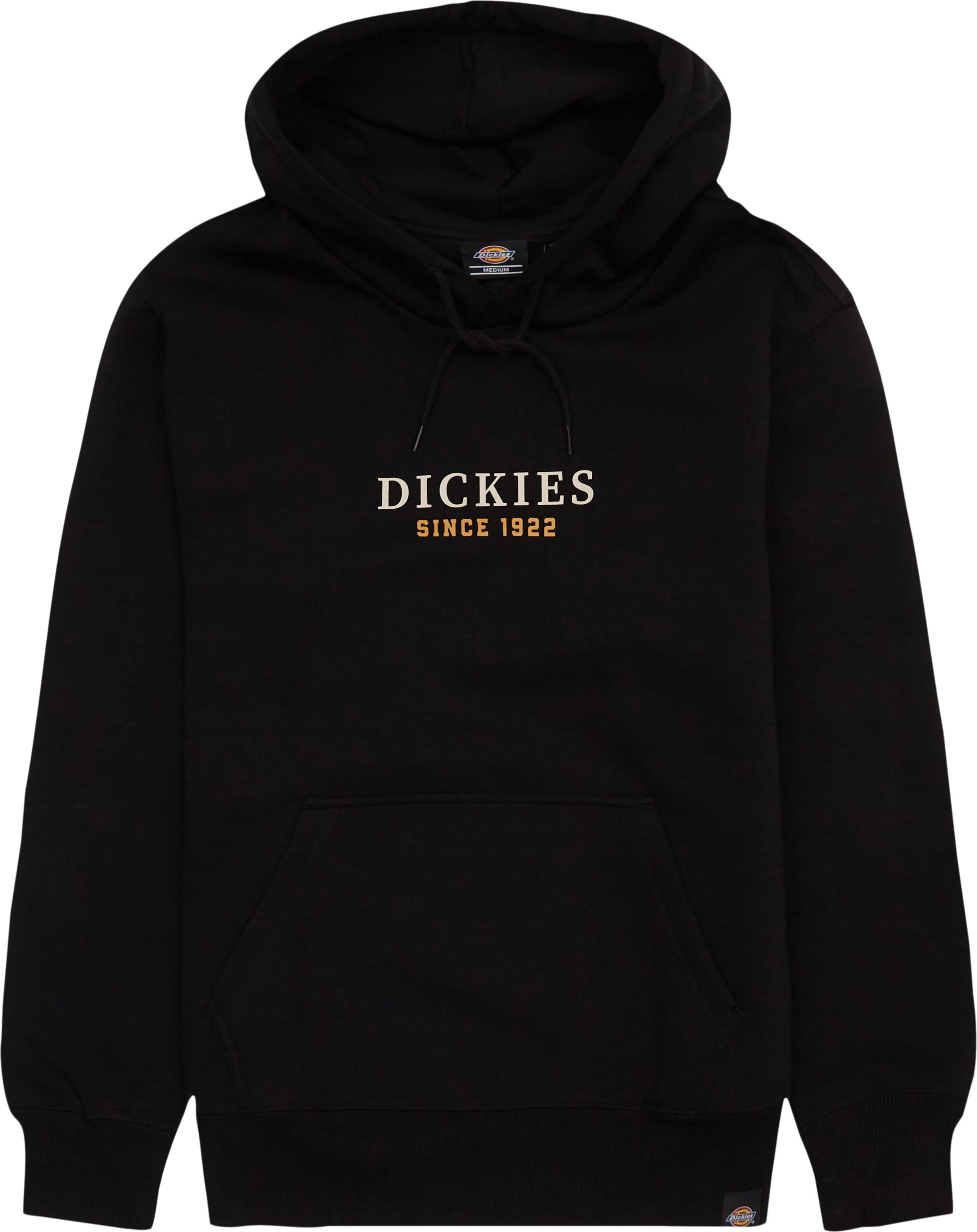 Dickies Sweatshirts PARK HOODIE DK0A4YEHBLK1 Sort