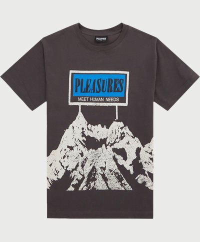 Pleasures T-shirts HUMAN NEEDS HEAVYWEIGHT TEE Grå
