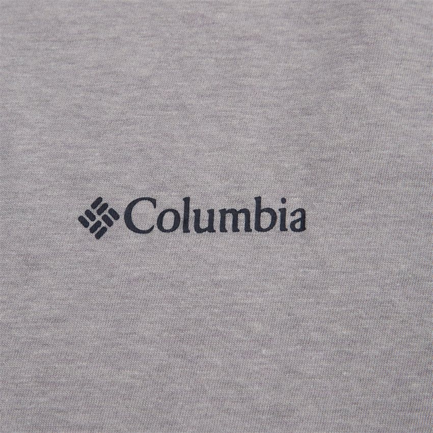 Columbia T-shirts ROCKAWAY RIVER BACK GRAPHIC SS TEE 2022171 GRÅ
