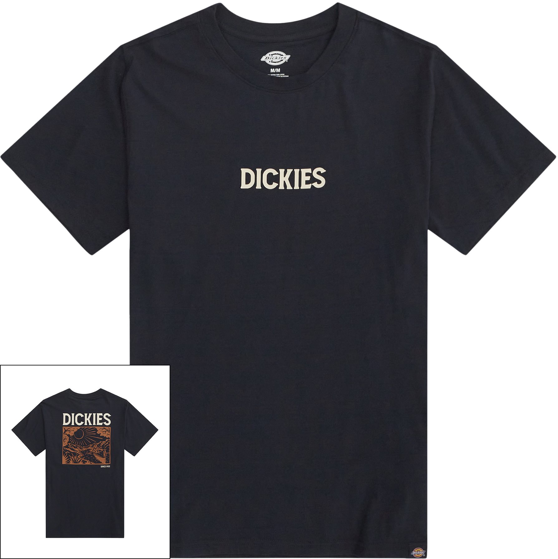 Dickies T-shirts PATRICK SPRINGS TEE DK0A4YR7DNX Blå