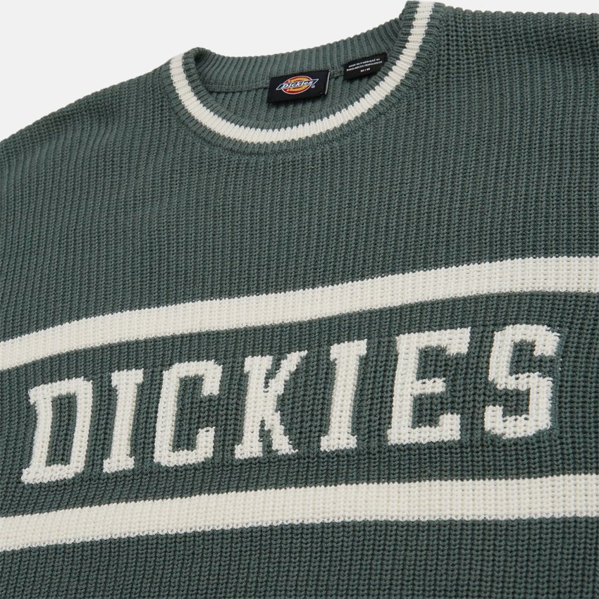 Dickies Knitwear MELVERN DK0A4YMCH15 GRØN
