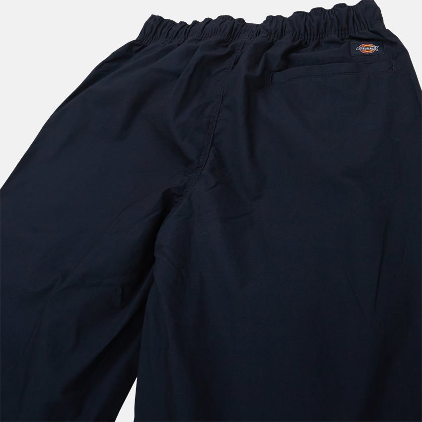 Dickies Trousers FISHERVILLE DK0A4YSDDNX NAVY