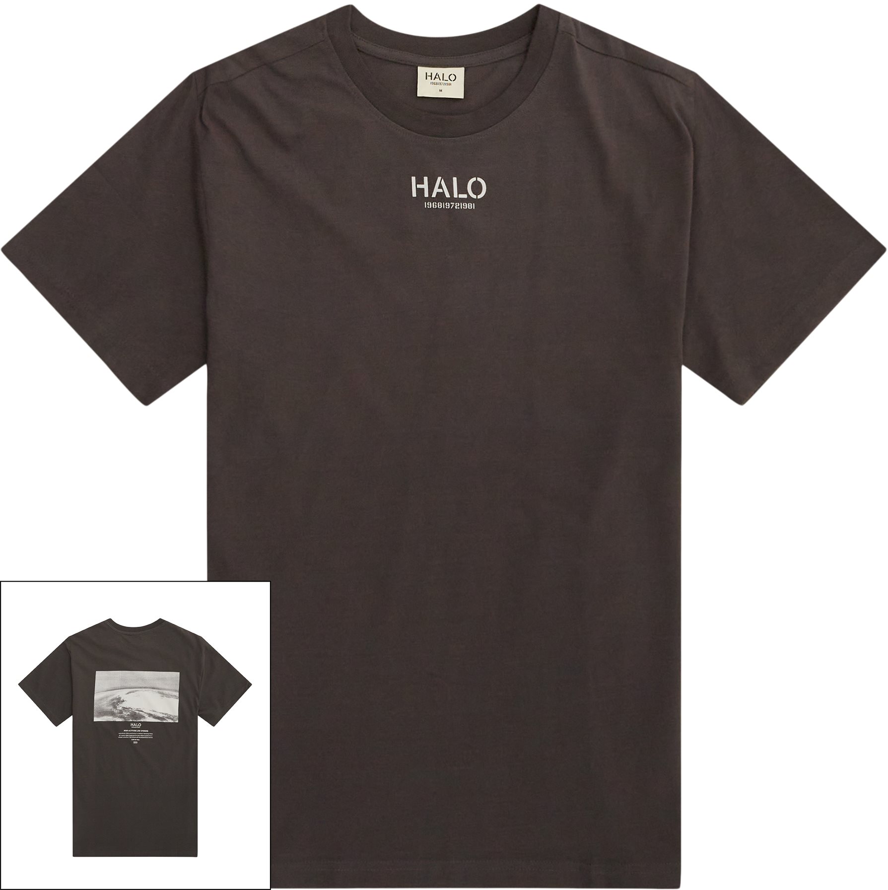 HALO T-shirts PHOTO GRAPHIC T-SHIRT 610490 Brun