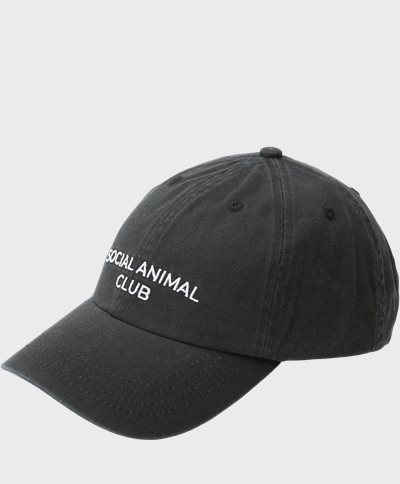 A.C.T. SOCIAL Caps SOCIAL ANIMAL CLUB CAP AS1006 Black