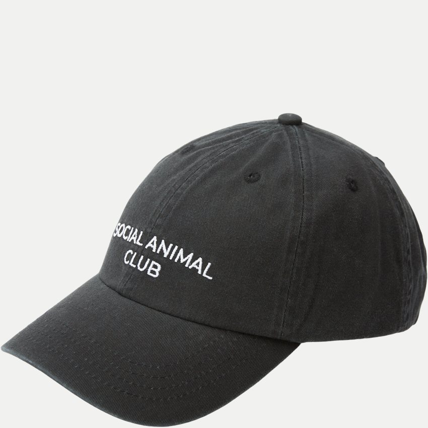 A.C.T. SOCIAL Kepsar SOCIAL ANIMAL CLUB CAP AS1006 BLACK