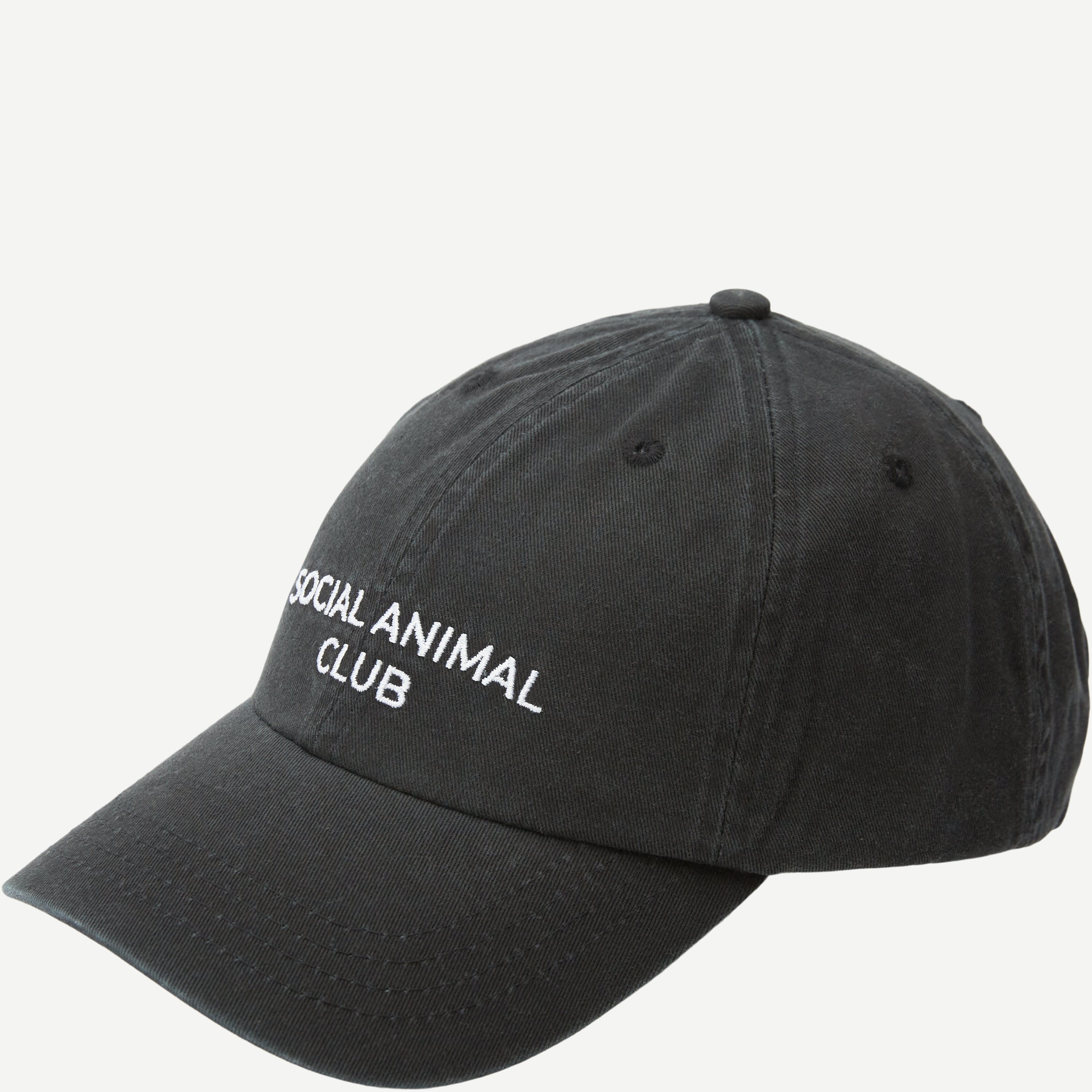 A.C.T. SOCIAL Caps SOCIAL ANIMAL CLUB CAP AS1006 Sort