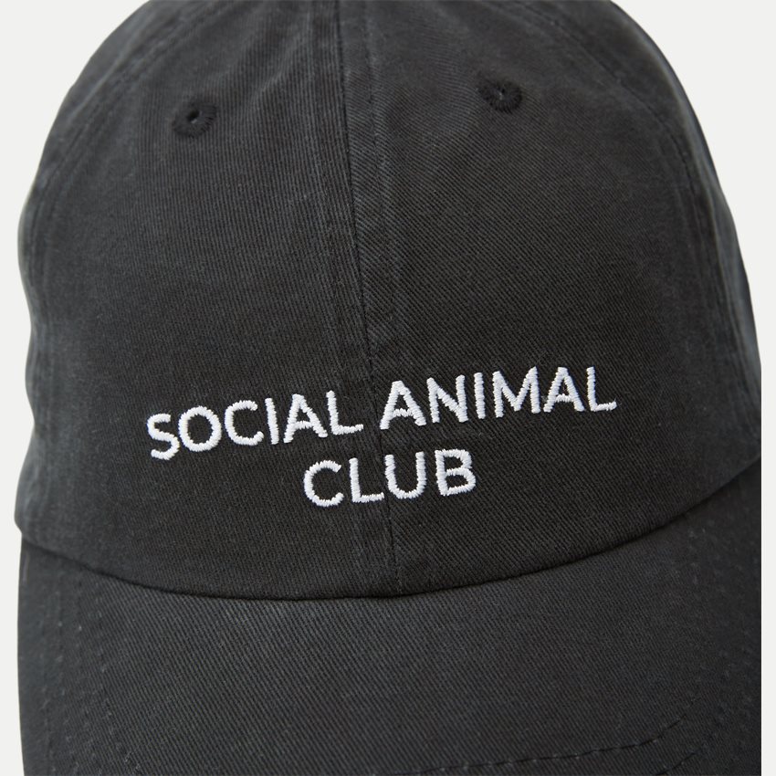 A.C.T. SOCIAL Caps SOCIAL ANIMAL CLUB CAP AS1006 BLACK