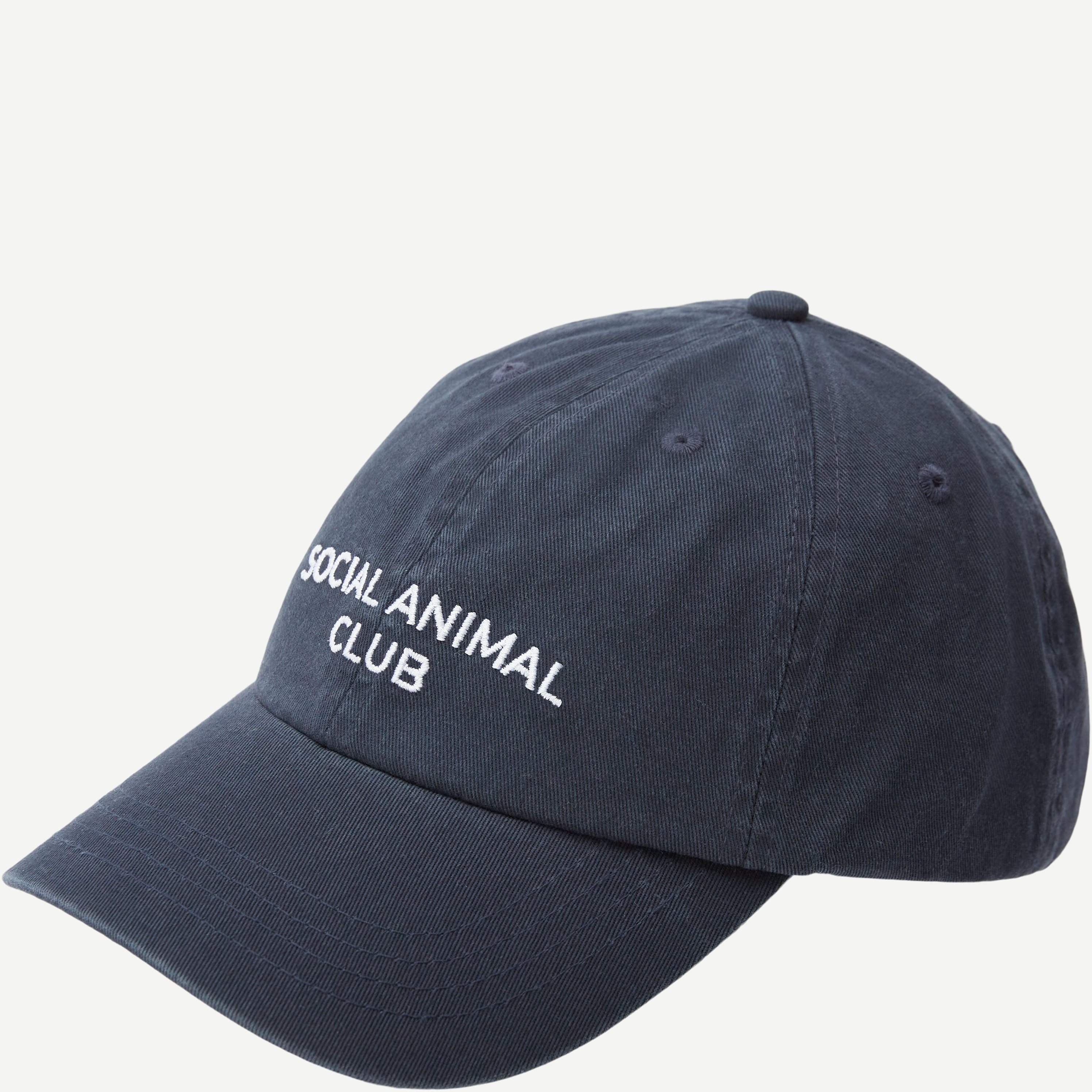 A.C.T. SOCIAL Caps SOCIAL ANIMAL CLUB CAP AS1006 Blå