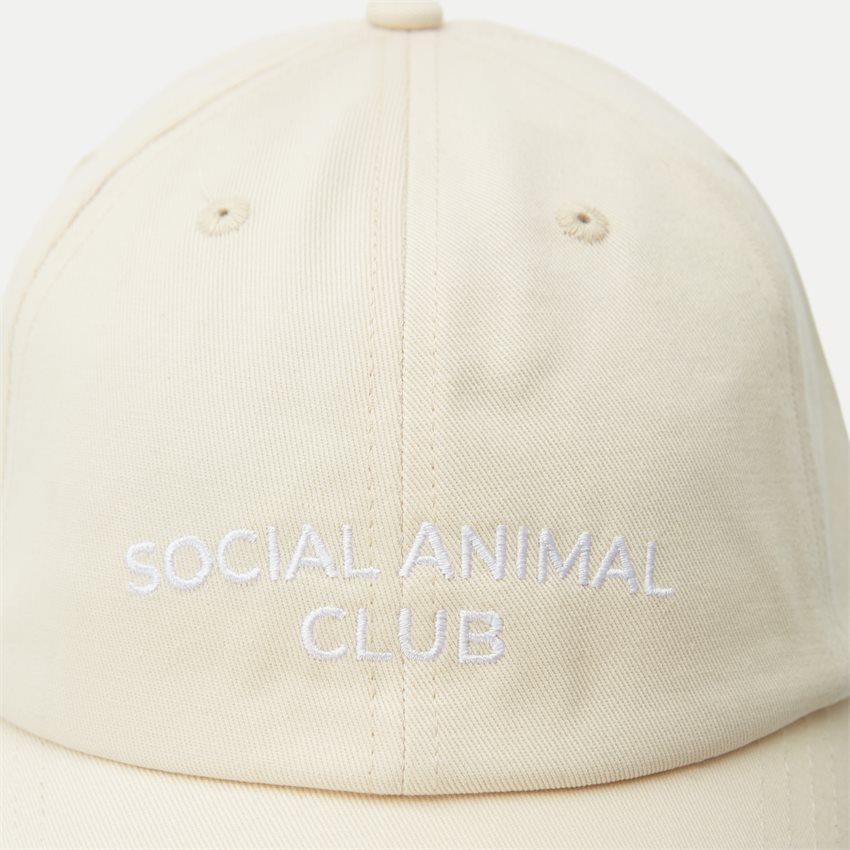 A.C.T. SOCIAL Kepsar SOCIAL ANIMAL CLUB CAP AS1006 SAND