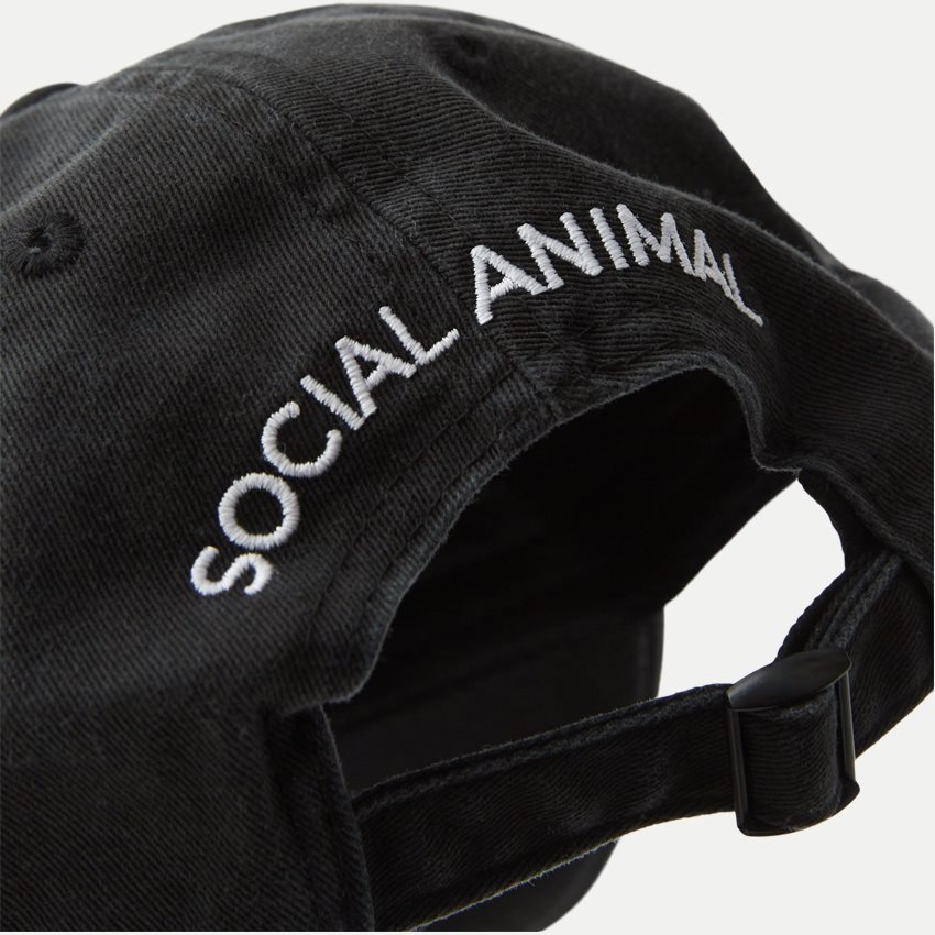 A.C.T. SOCIAL Caps ACT SOCIAL CAP AS1012 BLACK