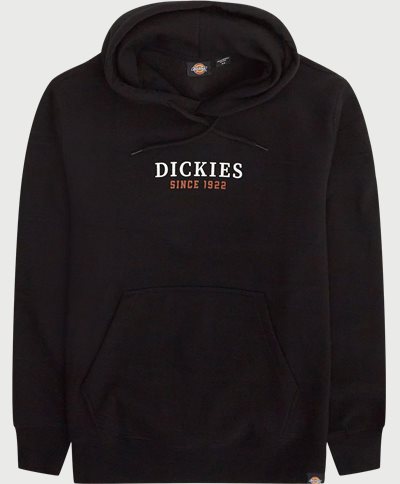 Dickies Sweatshirts PARK HOODIE DK0A4YEHBLK Black