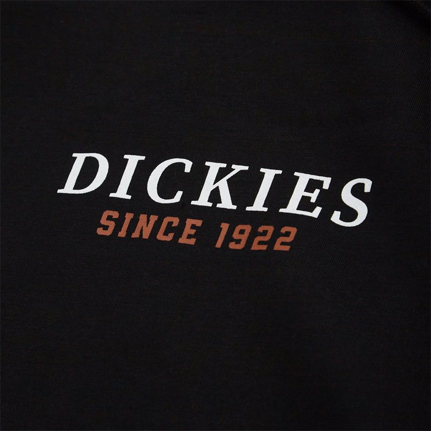 Dickies Sweatshirts PARK HOODIE DK0A4YEHBLK SORT