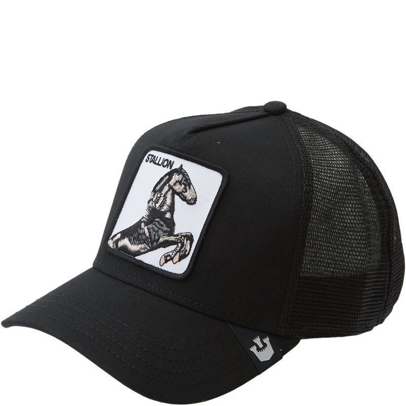 Goorin Bros - The Stallion Cap